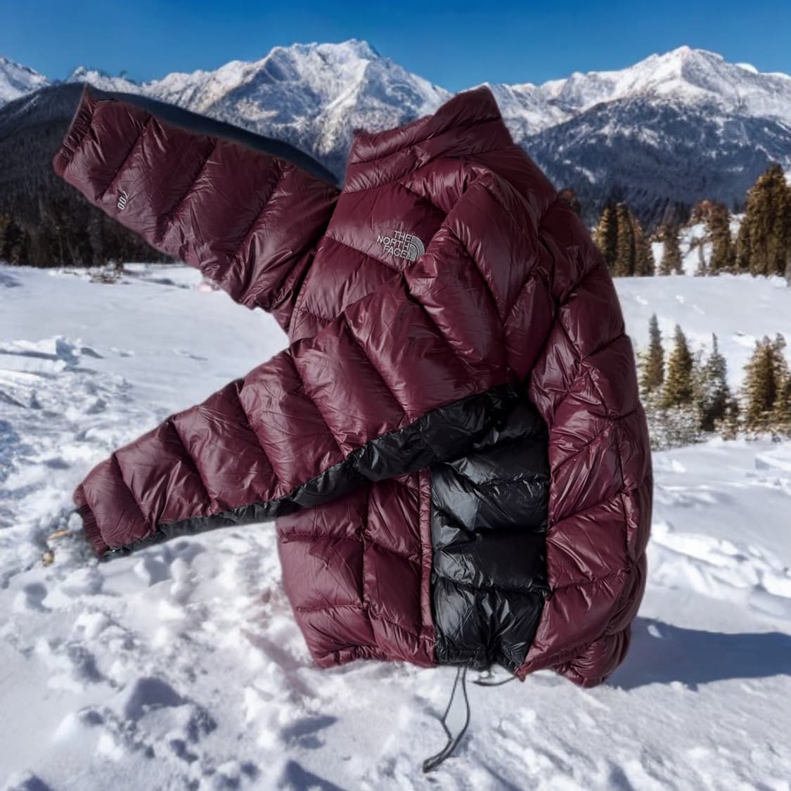 노스페이스 버건디 아콘카구아 경량패딩 (L-XL) 고프코어 상품이미지2