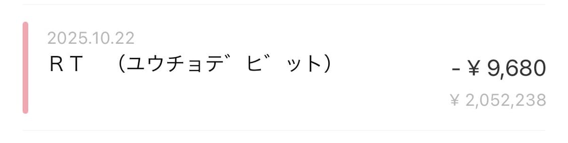 캐피탈 헴프 레이온 반다나 패턴 케사 머플러 블랙 신품 상품이미지2