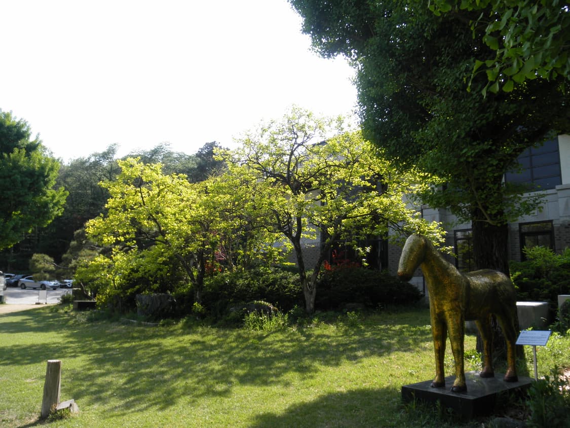 (하츠투하츠!)Olympus mju 7050디카 상품이미지3