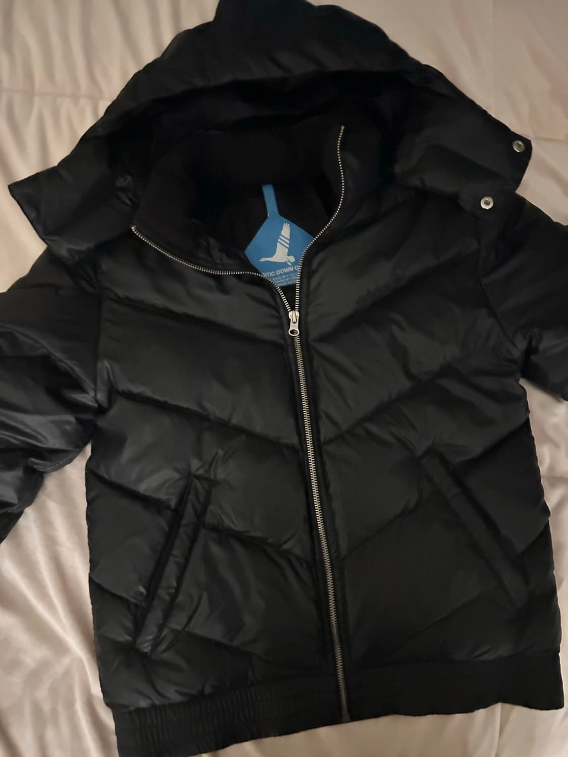 아디다스 슬림 덕다운 패딩 상품이미지2