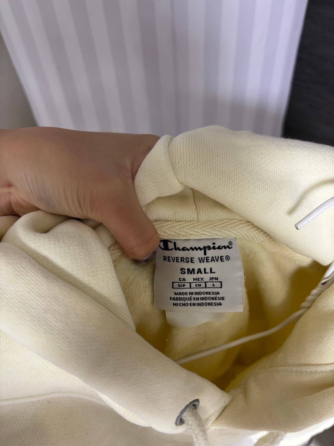 챔피온 리버스위브 후드 상품이미지2