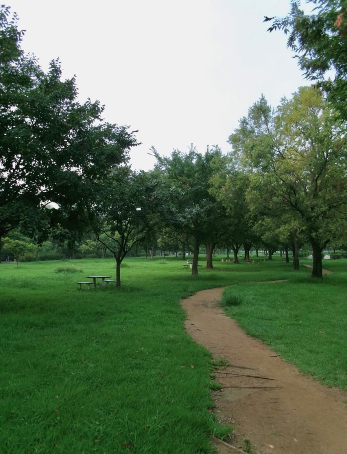 코닥Pixpro FZ55 디카 상품이미지5