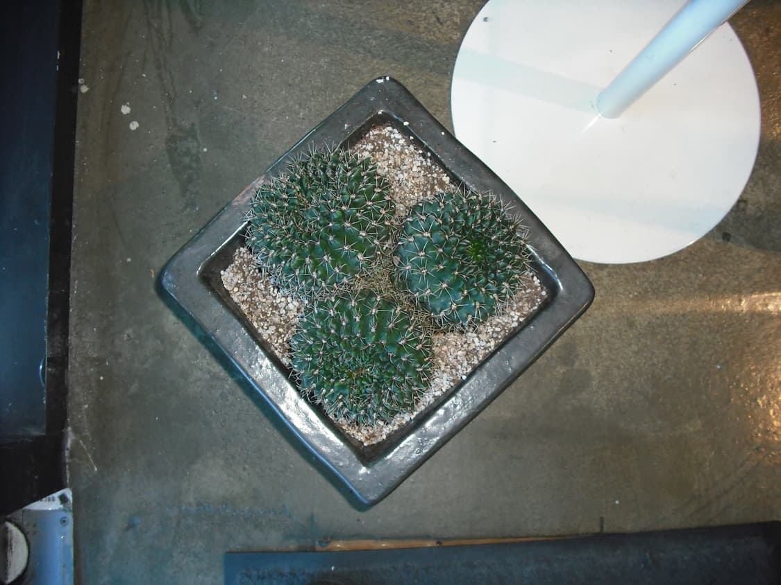 후지필름 파인픽스 J15fd 실버 빈티지디카 상품이미지10