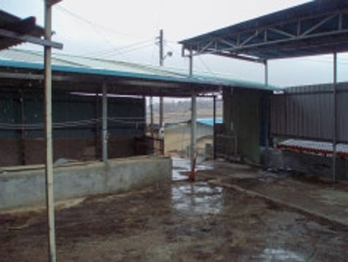 코닥 이지쉐어(Easyshare) 디카 (빈티지 카메라) 상품이미지7