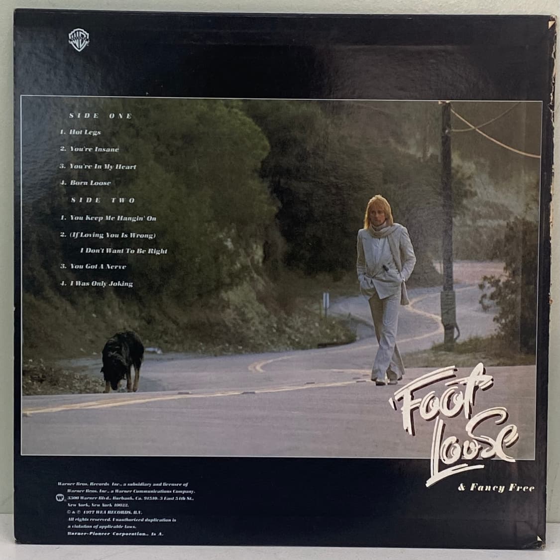 (LP) Rod Stewart - Foot Loose & Fanc 상품이미지2