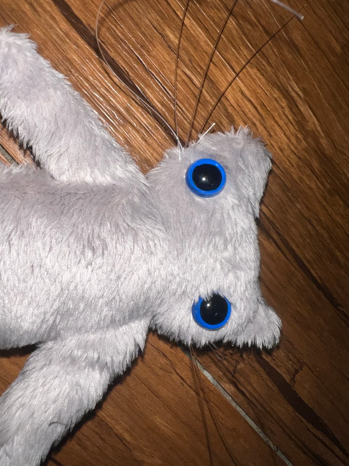 Cool summer cat plushie (handmade) 상품이미지1