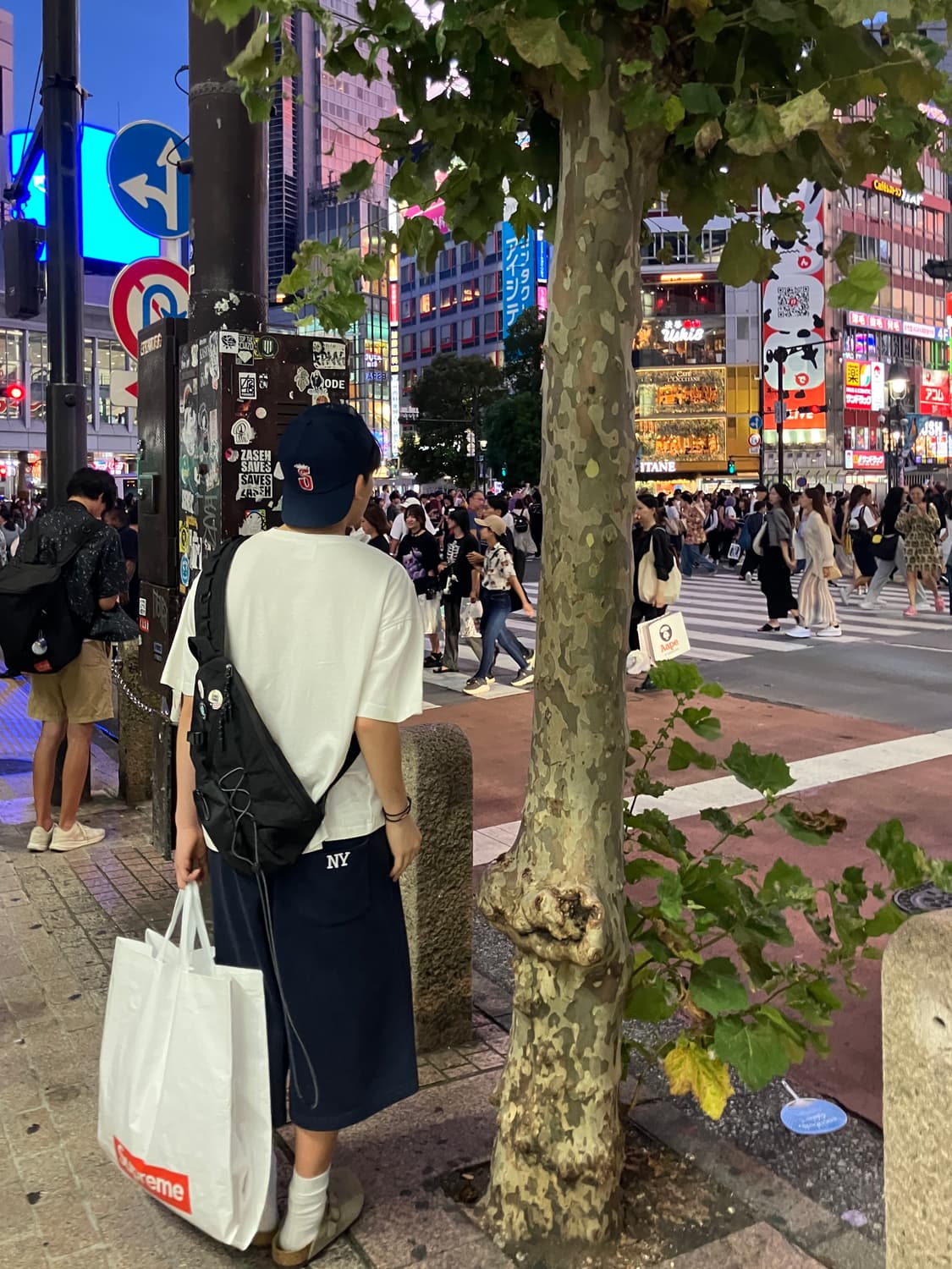 자라 NY 스웻팬츠 상품이미지4