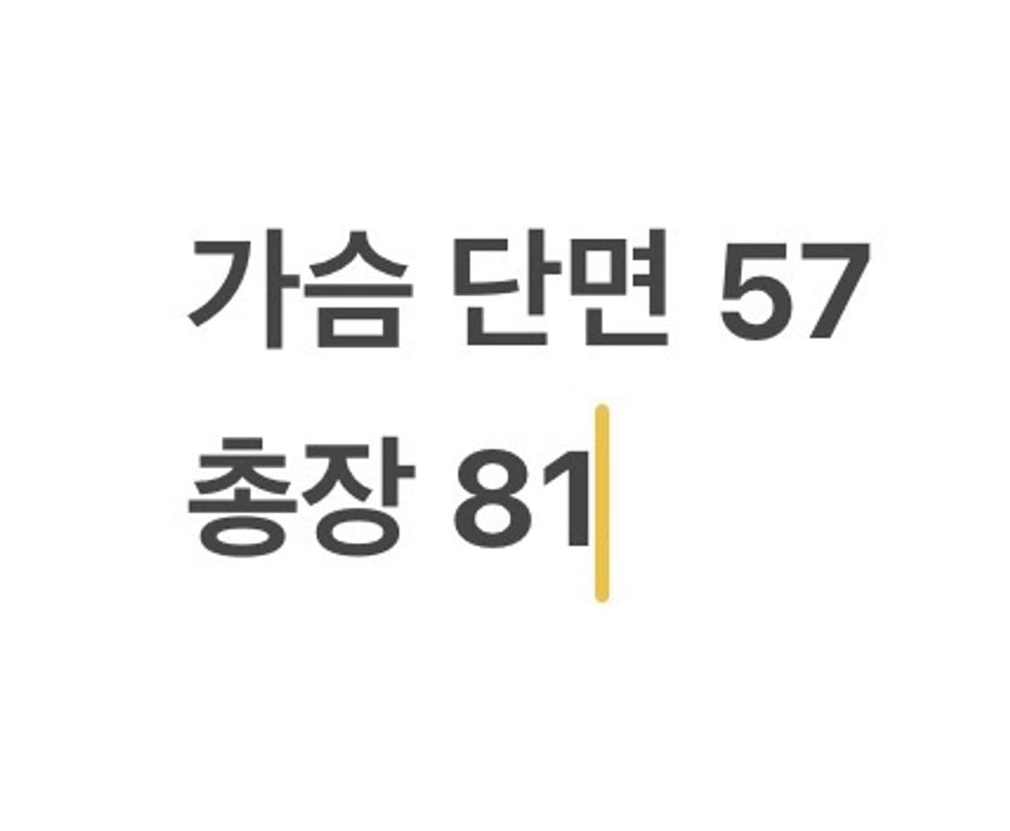 [ 정품/S ] 나이키 스우시 팀 USA 스톰핏 패디드 자켓 b8 상품이미지8
