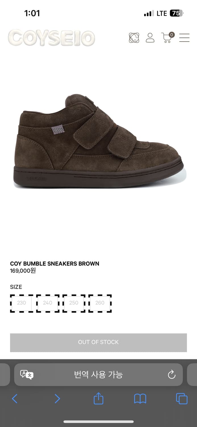 코이세이오 범블 브라운 230 구매합니다 상품이미지1