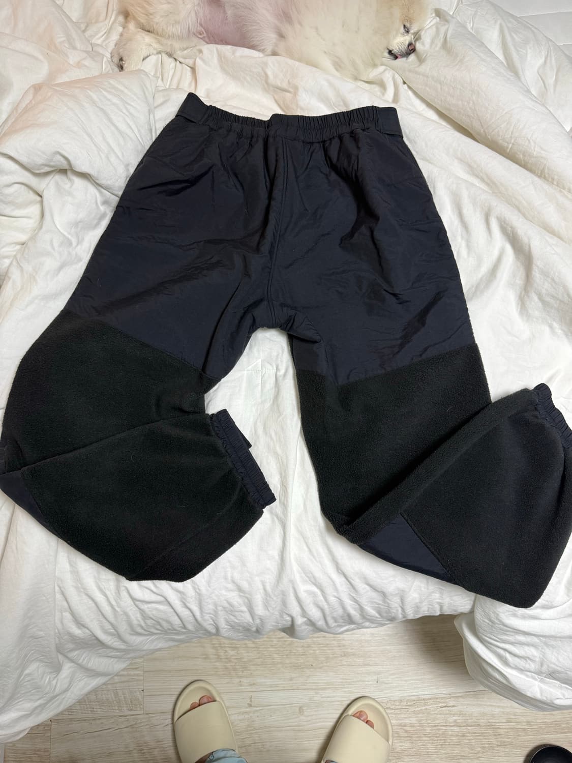 노스페이스 재팬 데날리 팬츠 L 상품이미지2