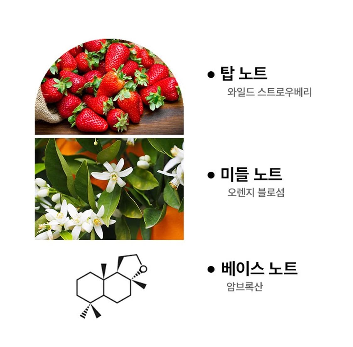 버버리 허 오드퍼퓸 인텐스 100ml 상품이미지3