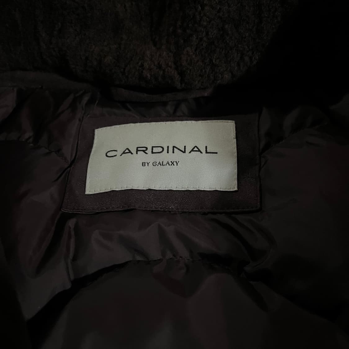 [100] 갤럭시 스웨이드 구스패딩 상품이미지5