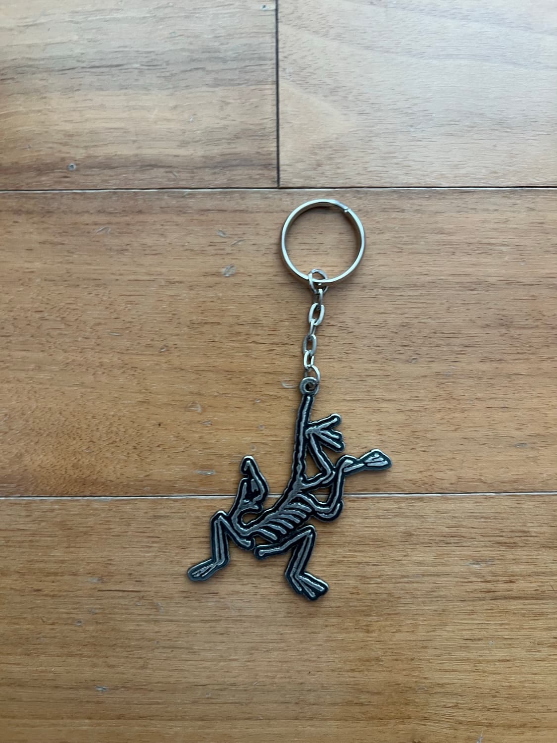 아크테릭스 및 아더에러 키링 상품이미지3