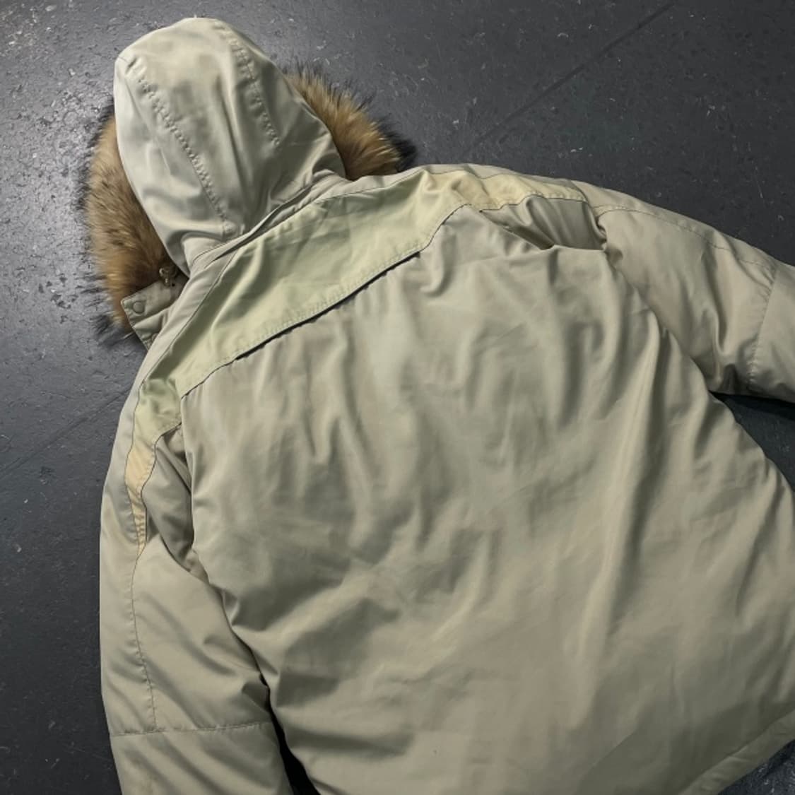 100 엄브로 라쿤패딩 상품이미지6