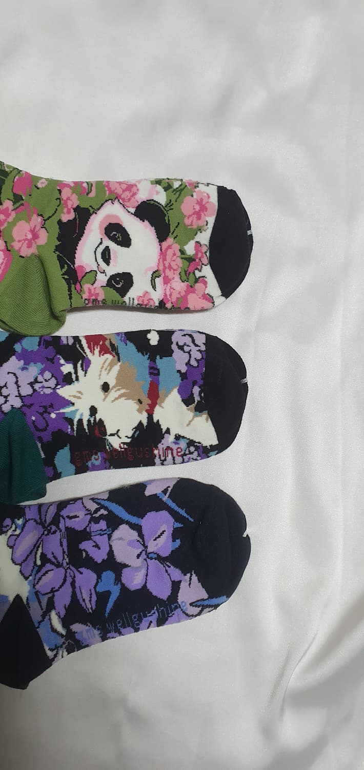 팬다 강아지 양 양말 상품이미지8