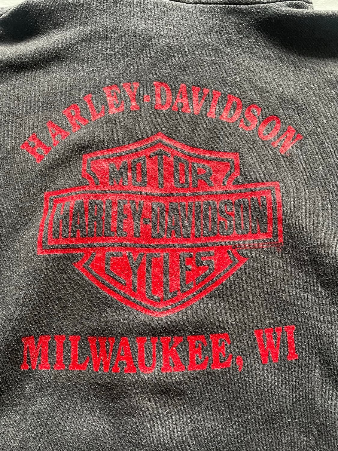 90‘s 할리데이비슨 플레임 후디 상품이미지8