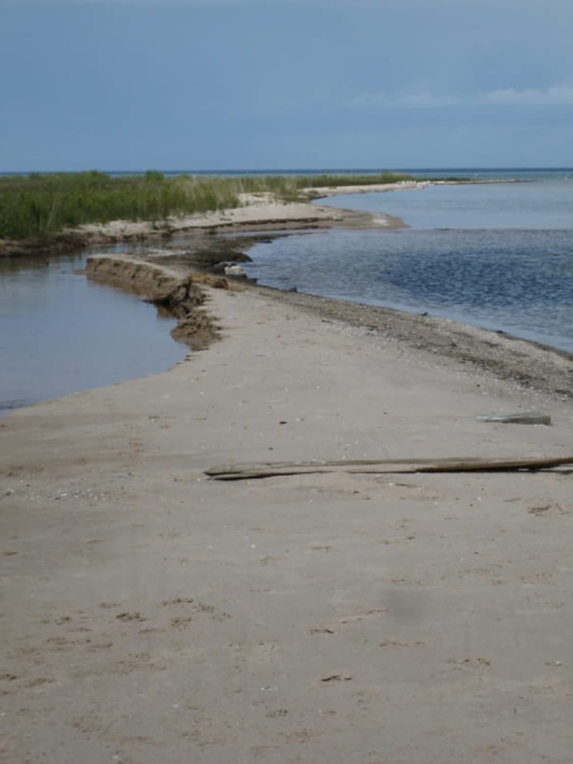 Canon ixus 60 / sd600 / ixy 70 캐논 익서스 디카 상품이미지3