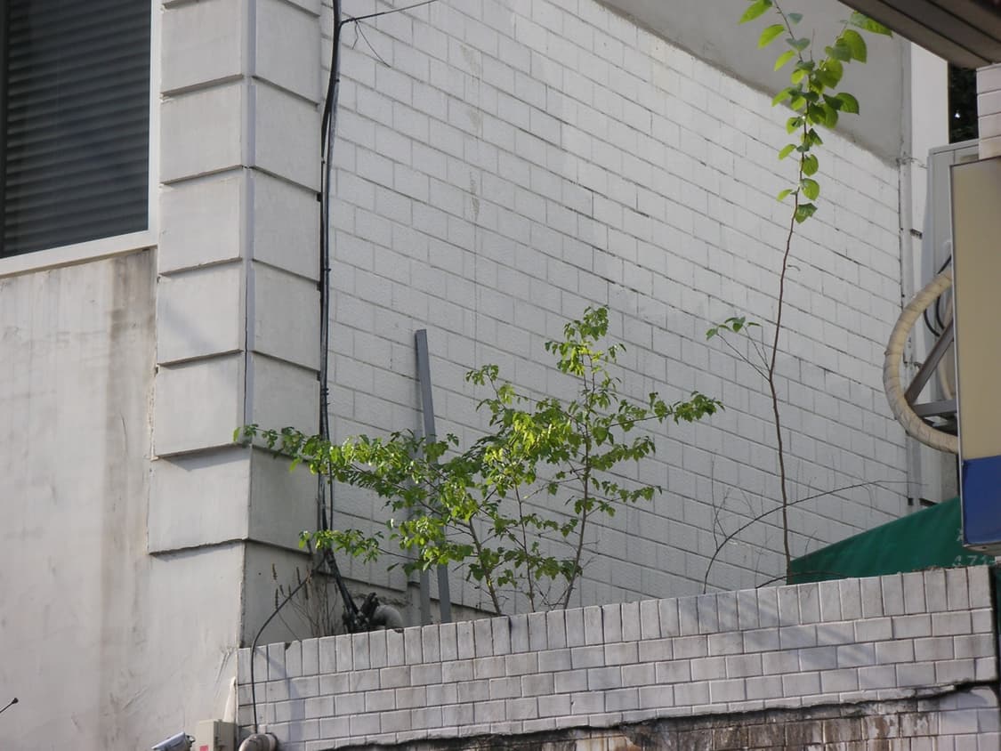 [희소템]미놀타 디미지 Dimage Xg 실버 빈티지디카 상품이미지6