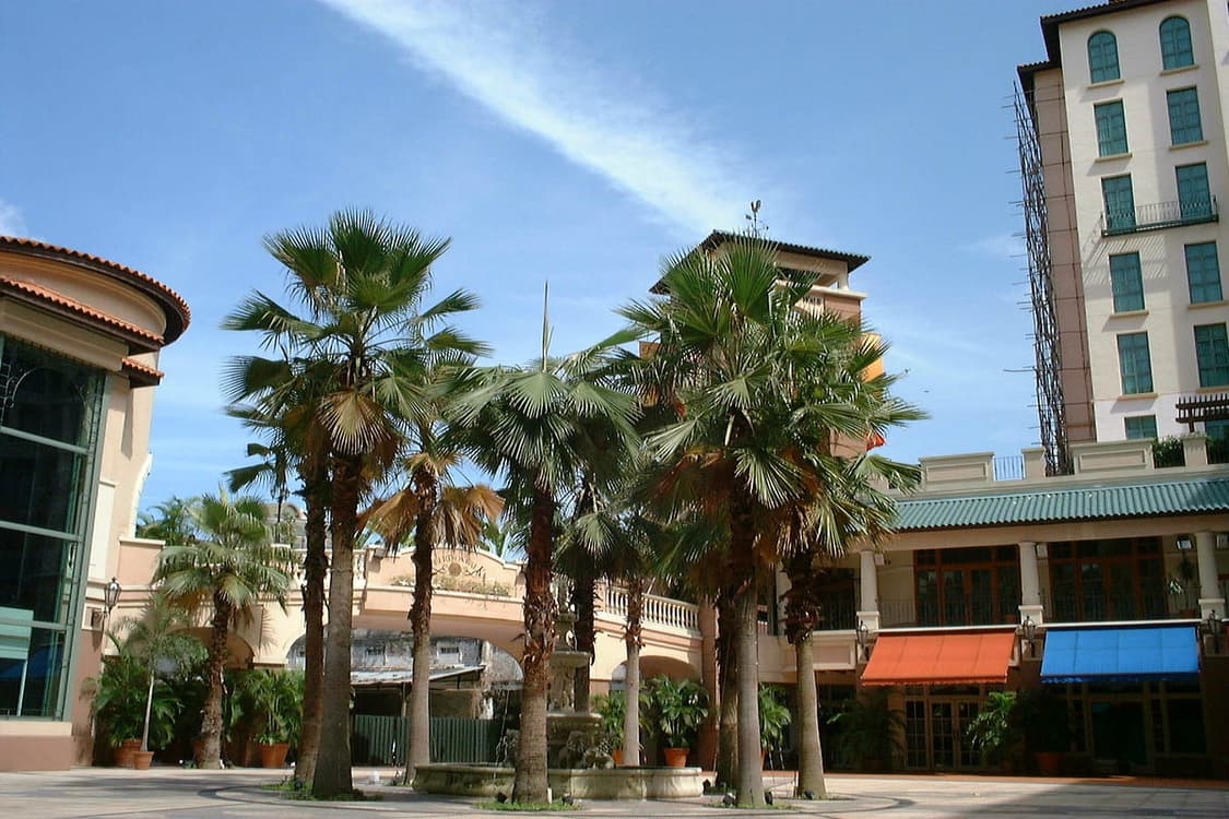 Fujifilm Finepix A403 (후지필름 파인픽스 A403) 상품이미지8