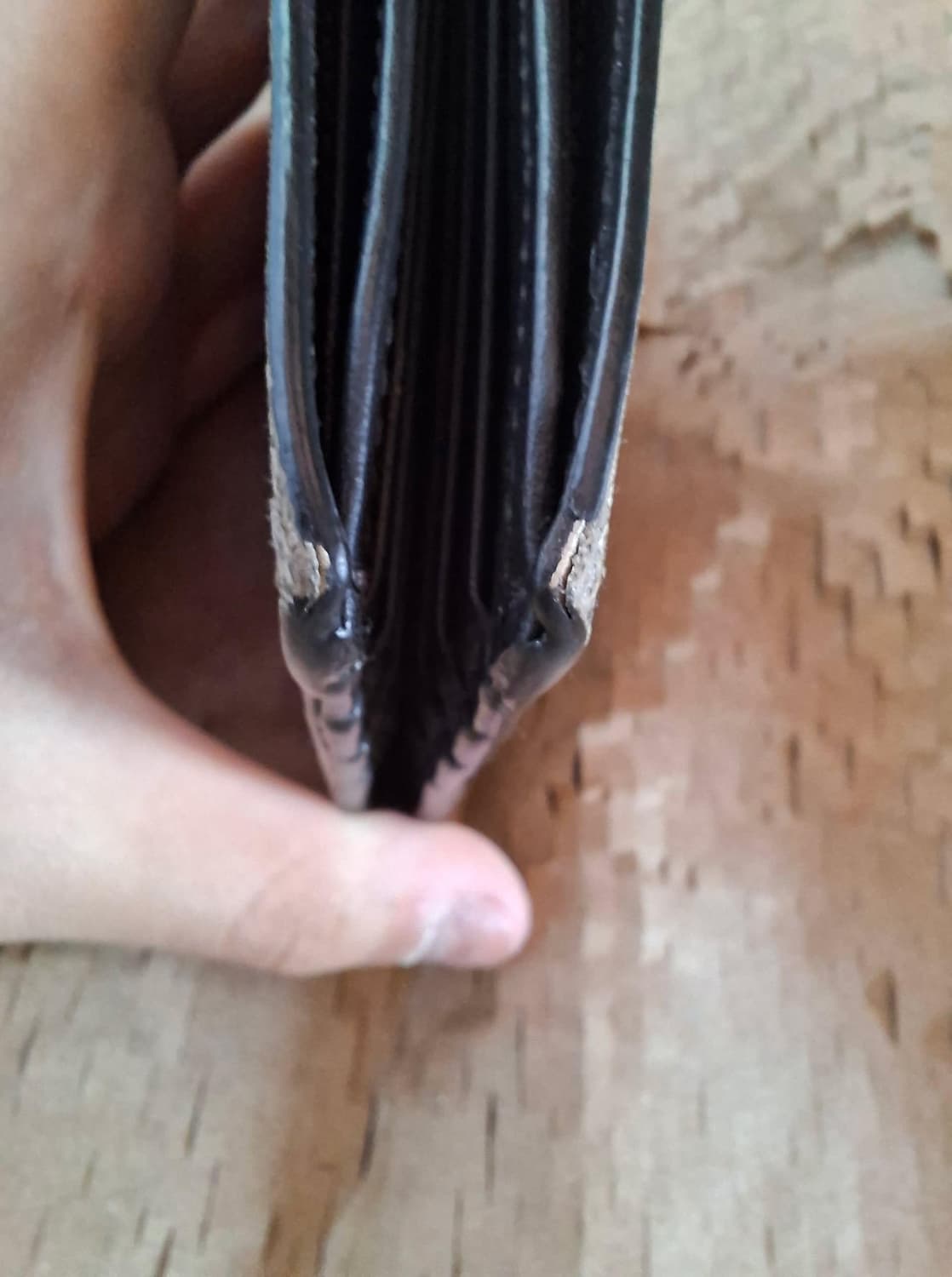 구찌 GG 웹 수프림 꿀벌 반지갑 상품이미지6