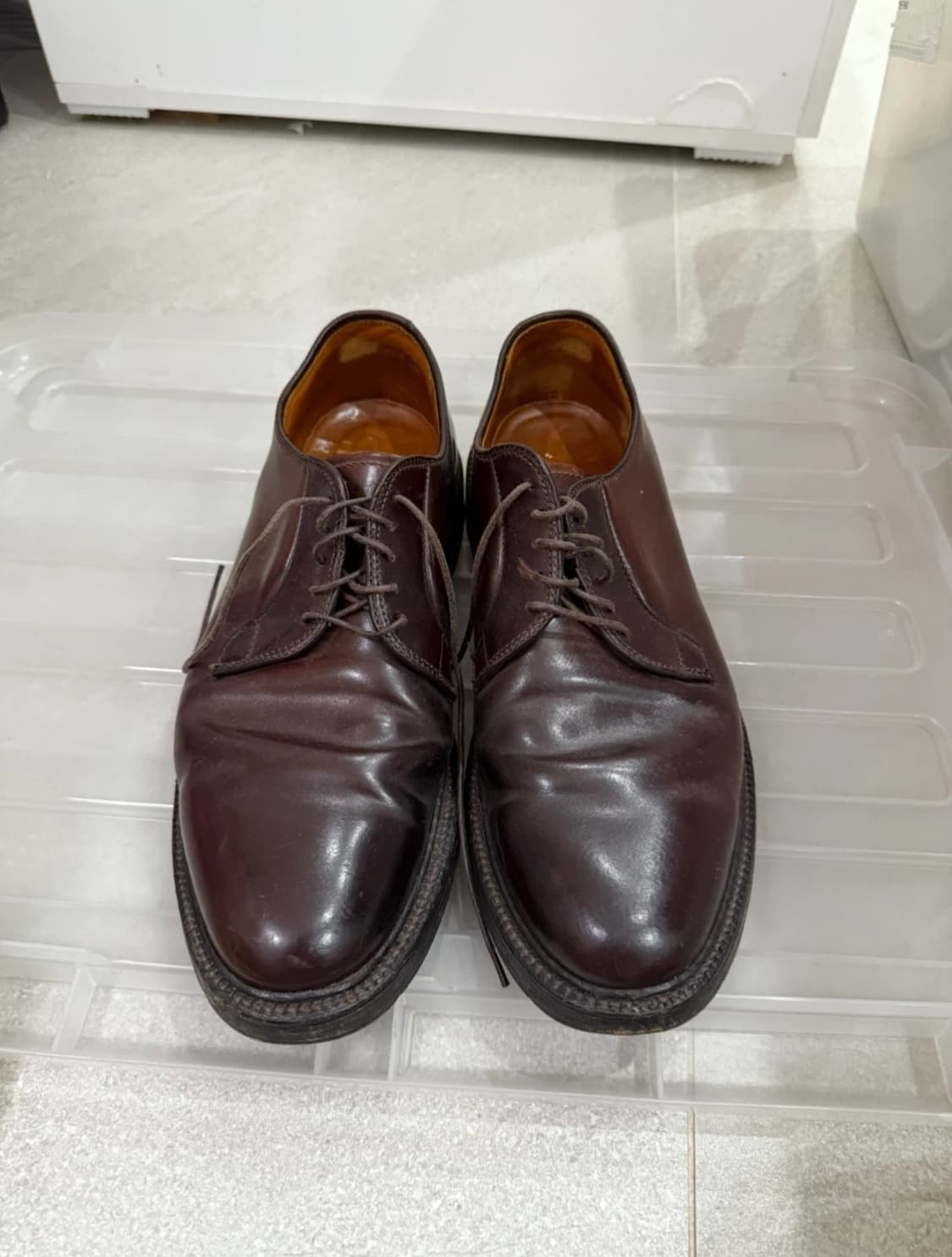 알든 990  상품이미지2