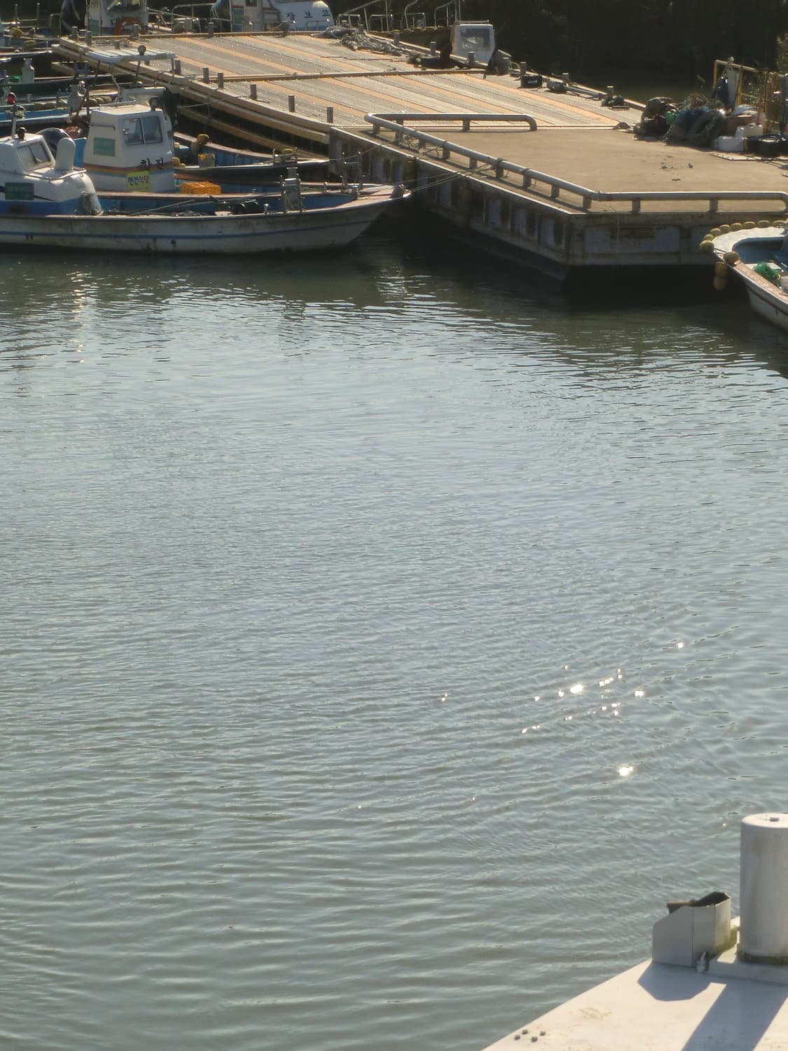 카시오 엑슬림 z550 실버 풀박스 판매합니다 !(작례o) 상품이미지5