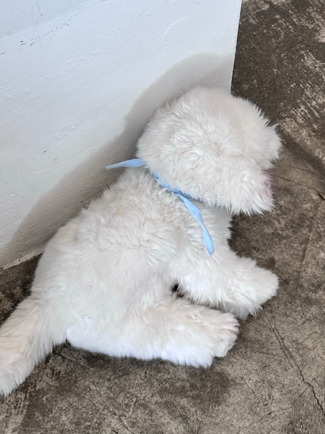 비비안웨스트우드 목걸이 블랙 펄 초커 비즈초커 목걸이 상품이미지1