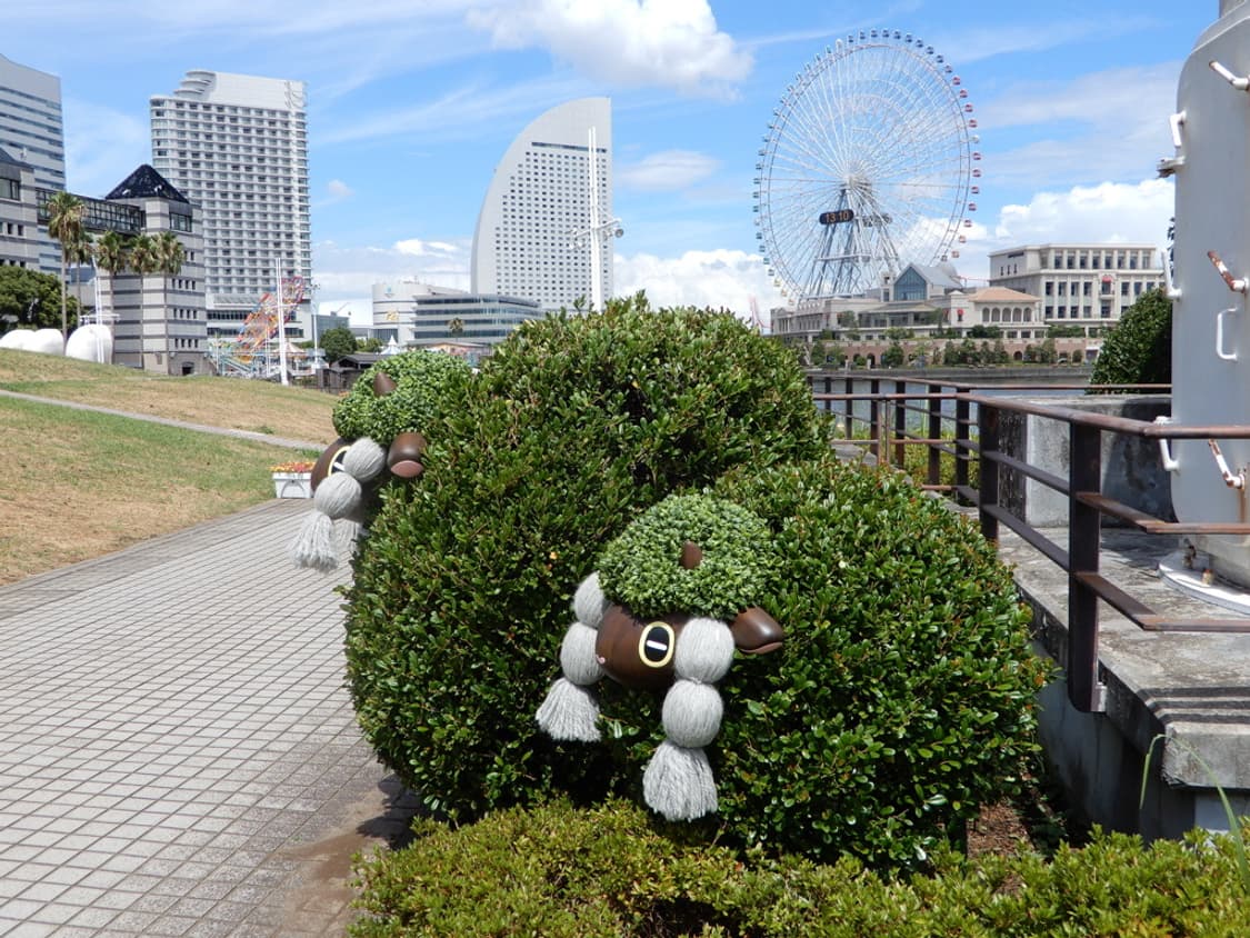 니콘 쿨픽스 Nikon COOLPIX A900 블랙 상품이미지3