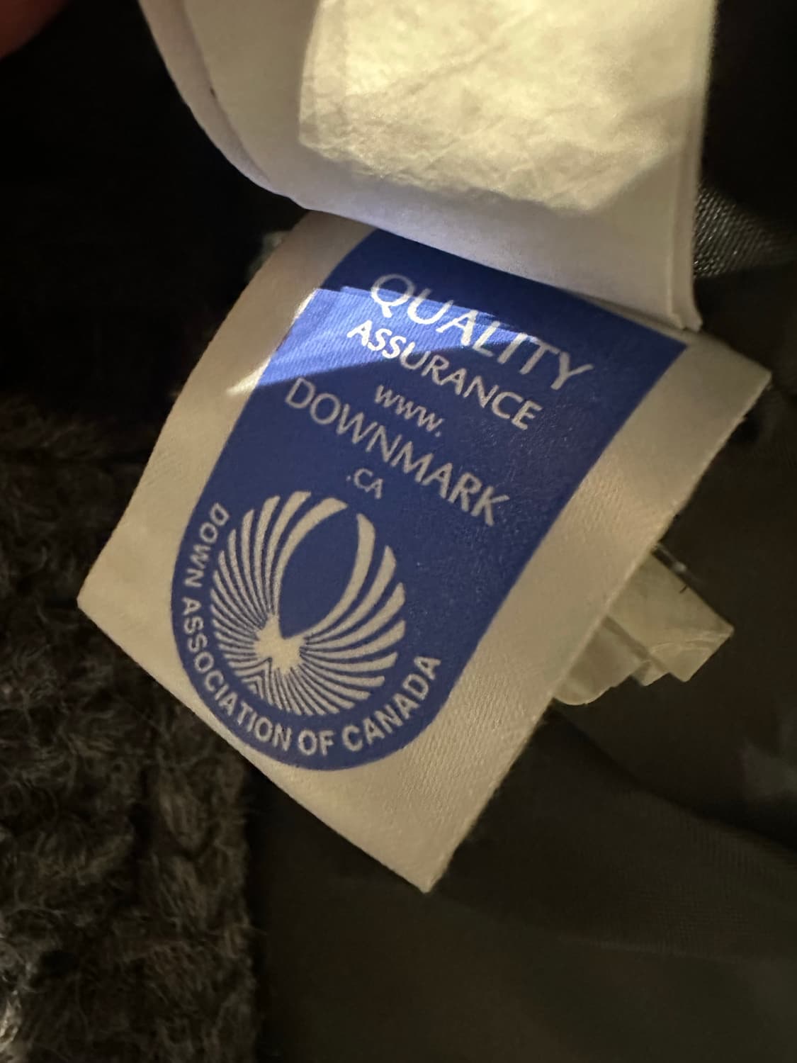 ROSEBUD 캐나다 덕다운 니트 패딩 2 사이즈 상품이미지6