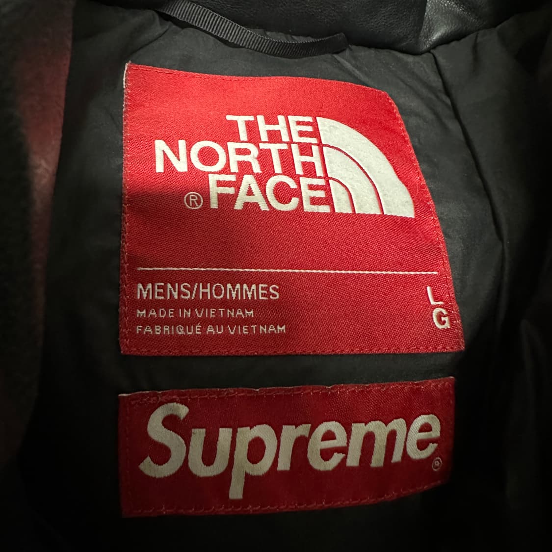 SUPREME X THE NORTH FACE leather down 상품이미지3