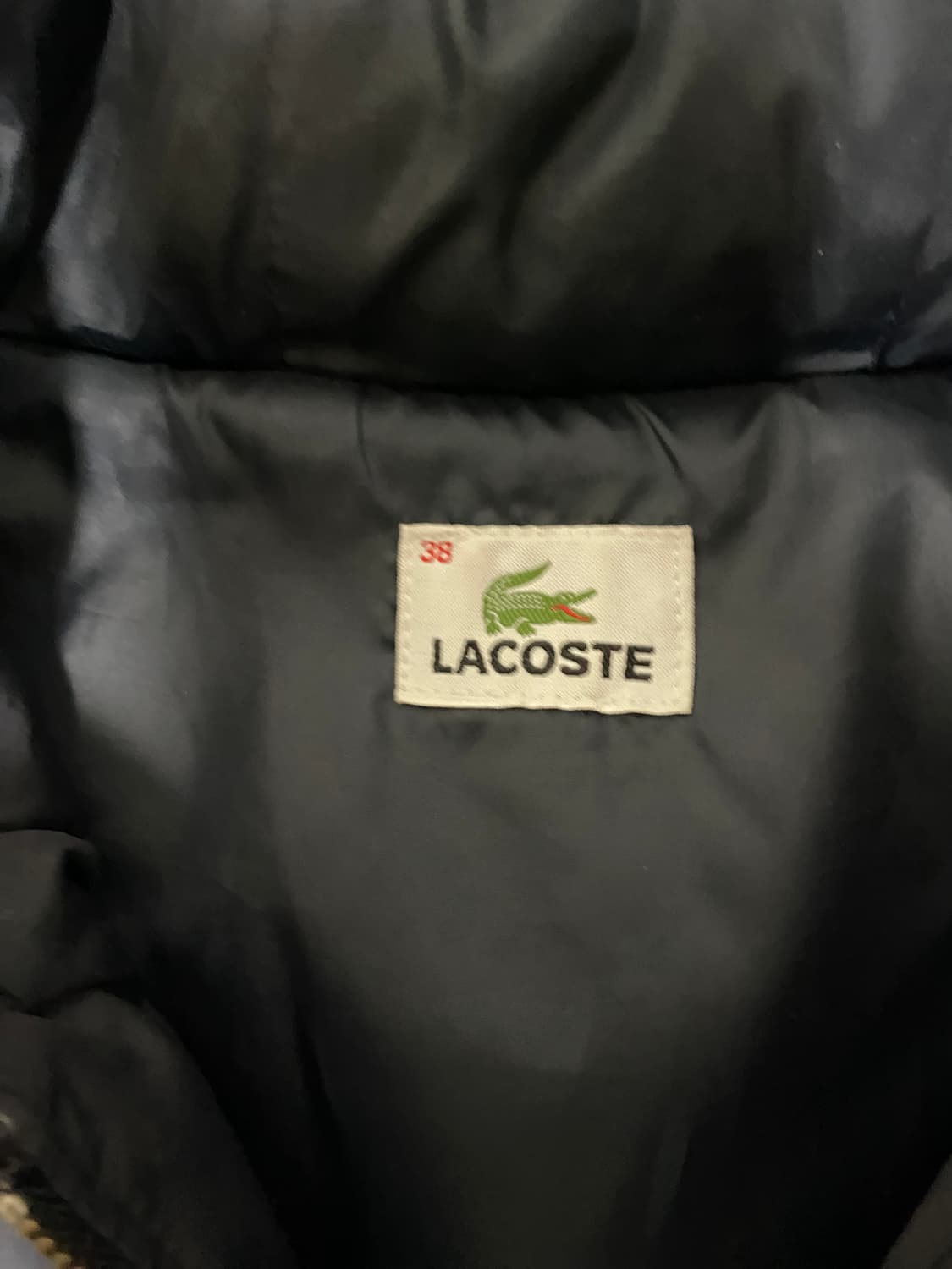 라코스테 퀼팅 후드 자켓 상품이미지4