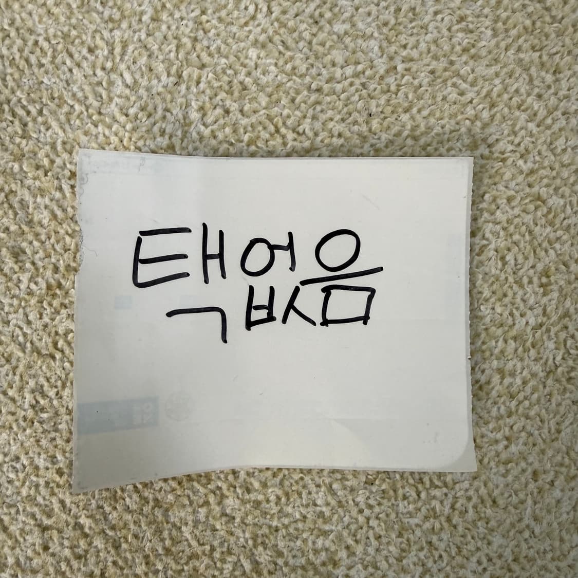 실측확인 나이키로고 반팔티 0223T 상품이미지4