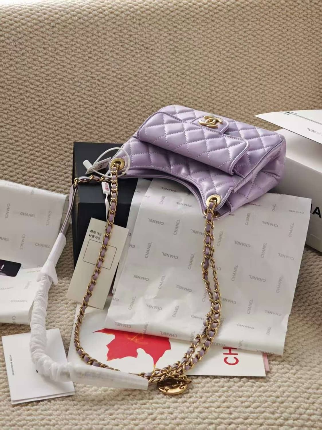 샤넬 스몰 호보백 상품이미지4