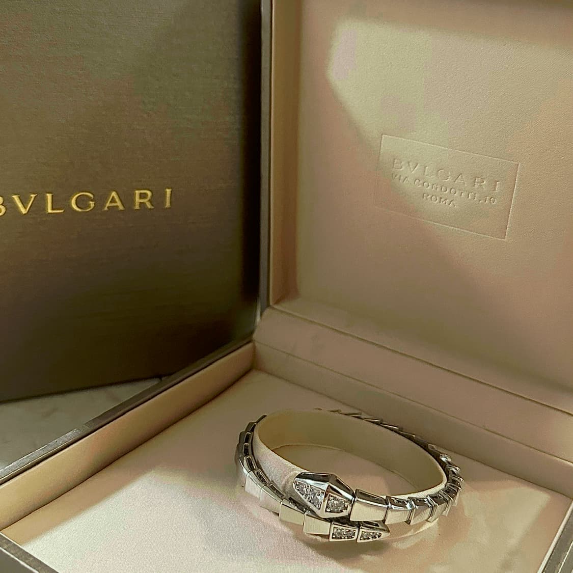 세르펜티 3종 총합  상품이미지4