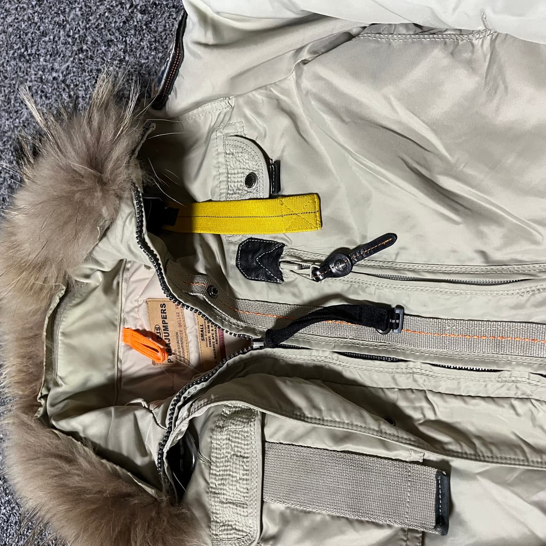 파라점퍼스 코요테 상품이미지2