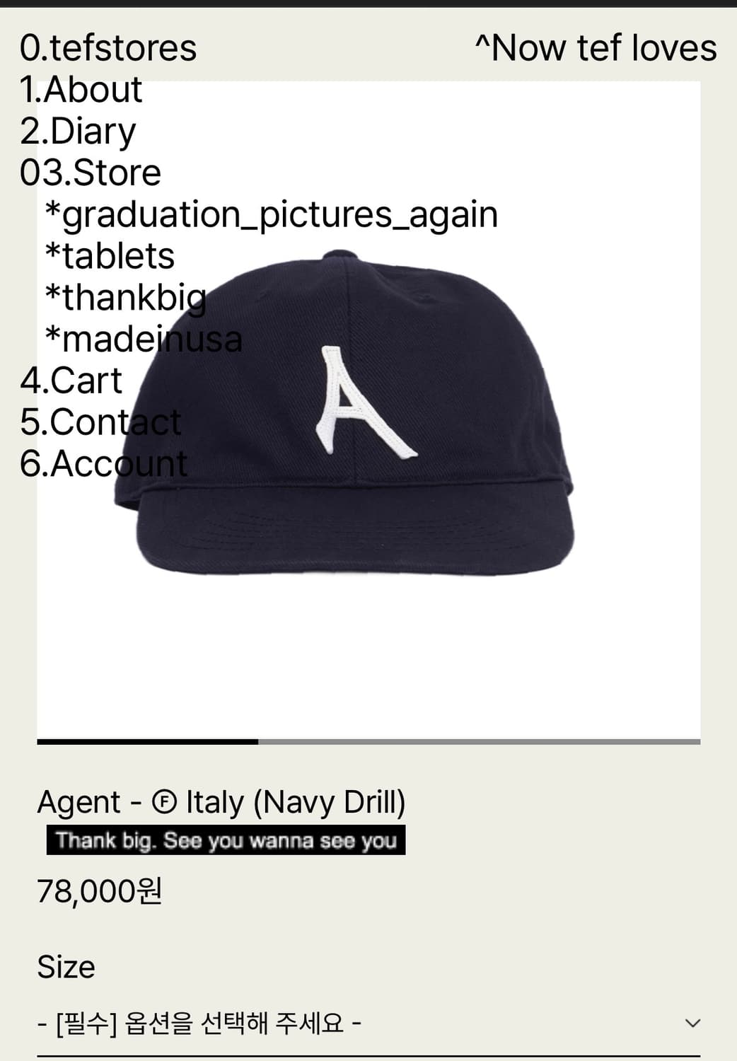 (구매) 테프스토어즈 tefstores 모자 L 상품이미지1