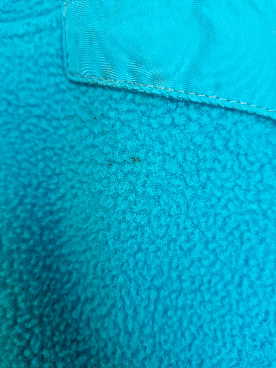 Z-18 파타고니아 신칠라 상품이미지4