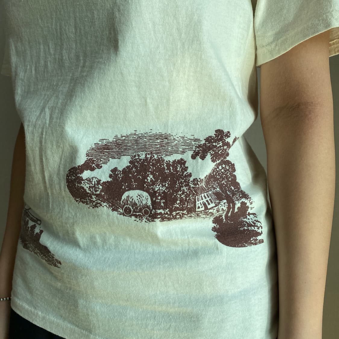 🌾 [Rare] Hanes 'MIKI GROUP 2012' 빈티지 그래 상품이미지3