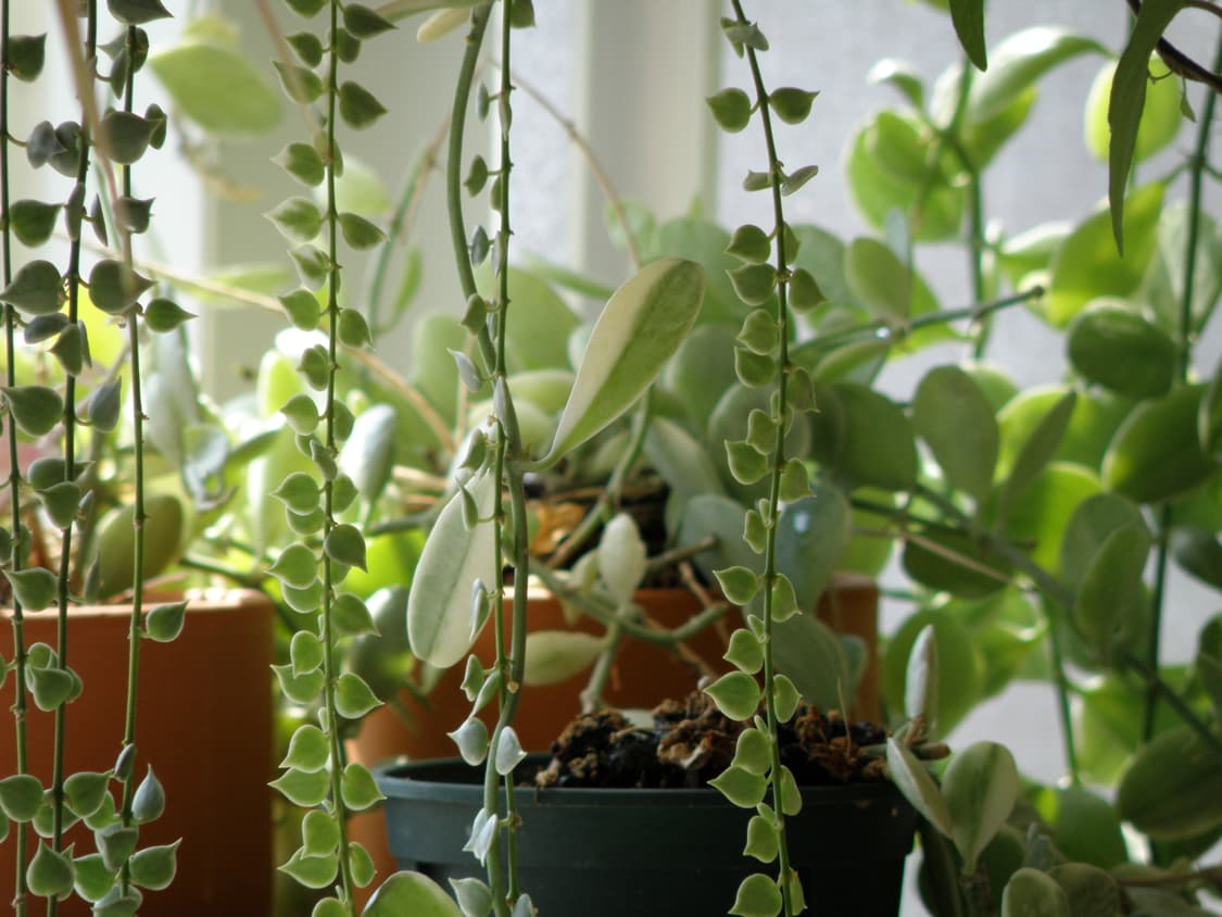 올림푸스 sp 565uz 빈티지 디카 상품이미지9