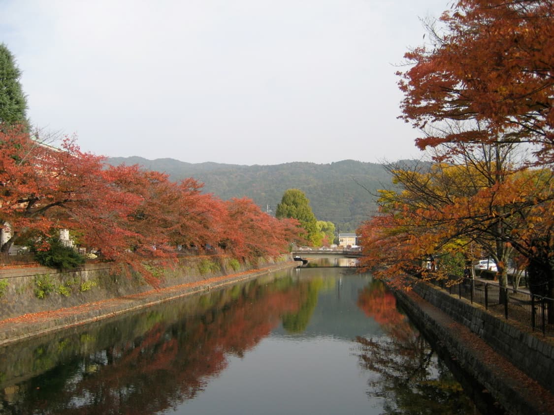 캐논 익서스 Canon  IXUS 75(익시 90) 상품이미지2