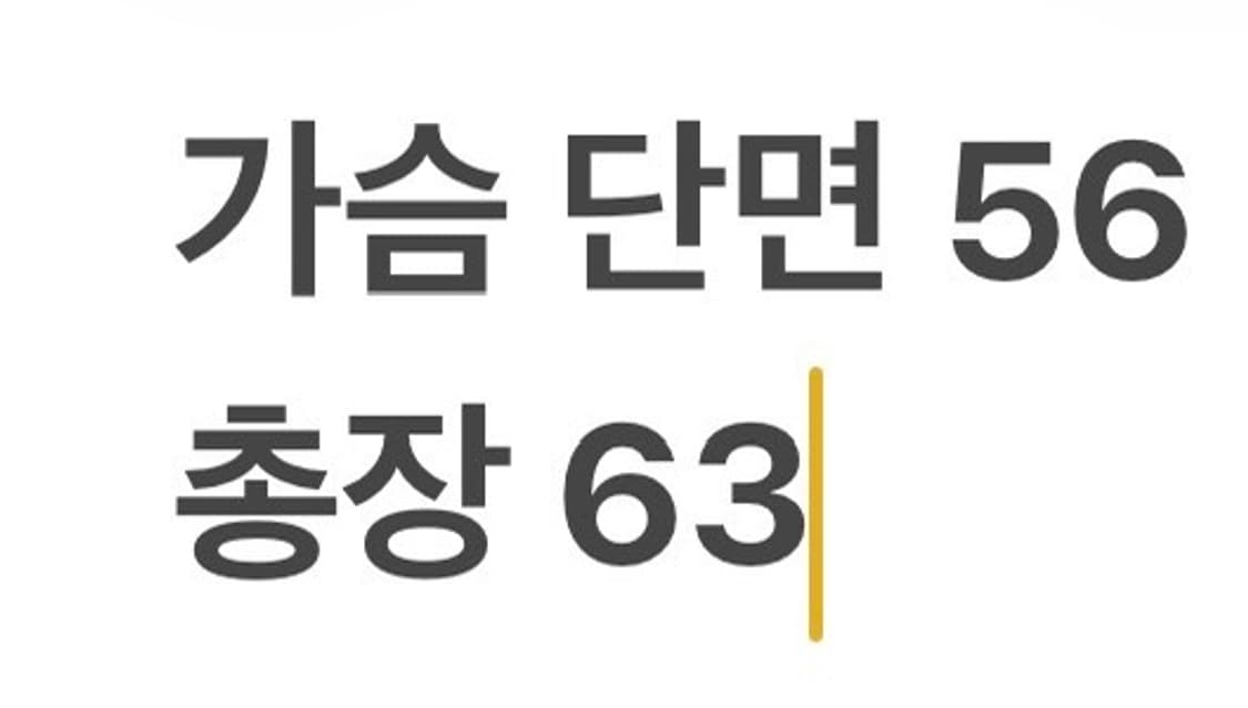 [정품/M] 나이키 바람막이 형광색 b16 상품이미지10