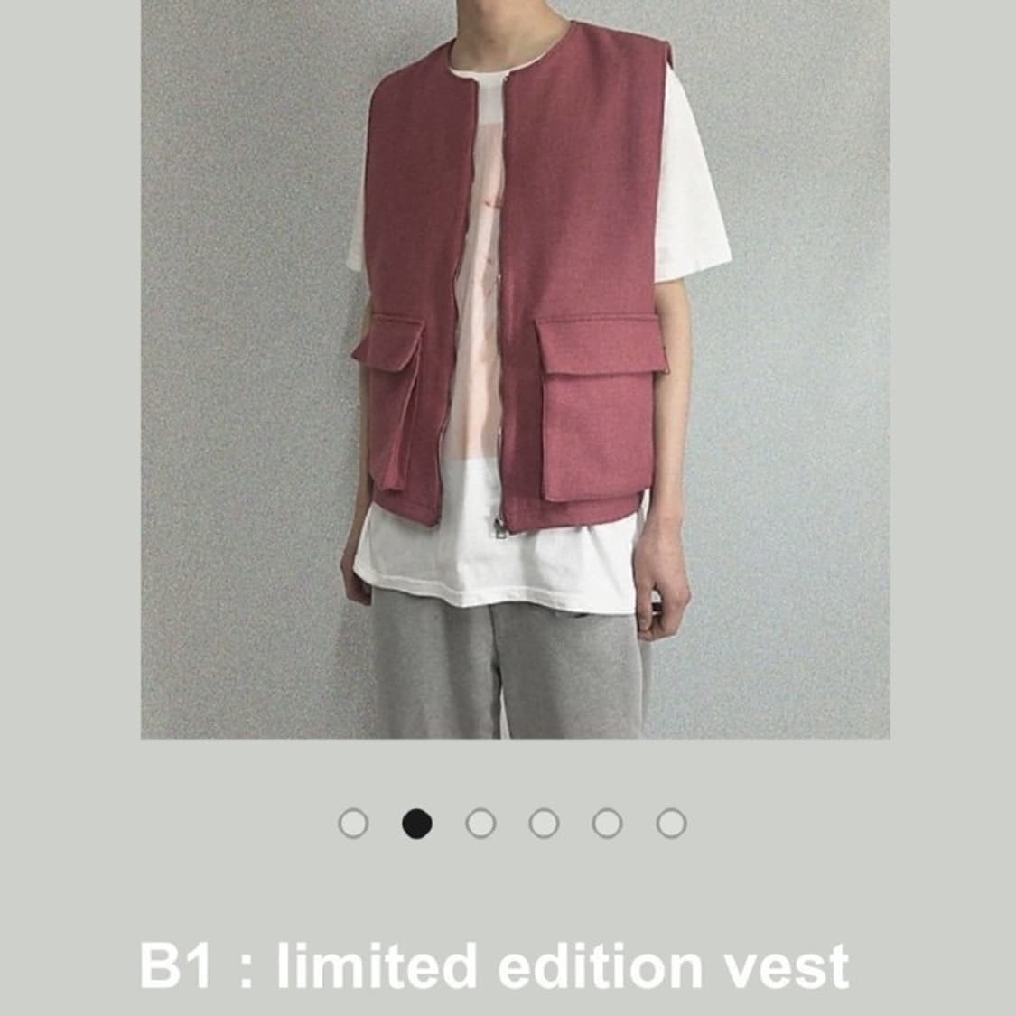 MUDULE / B1  LIMITED EDITION VEST 상품이미지2