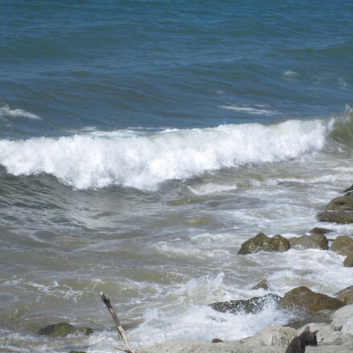 Canon Powershot A2500 캐논 파워샷 2500 디카 상품이미지5