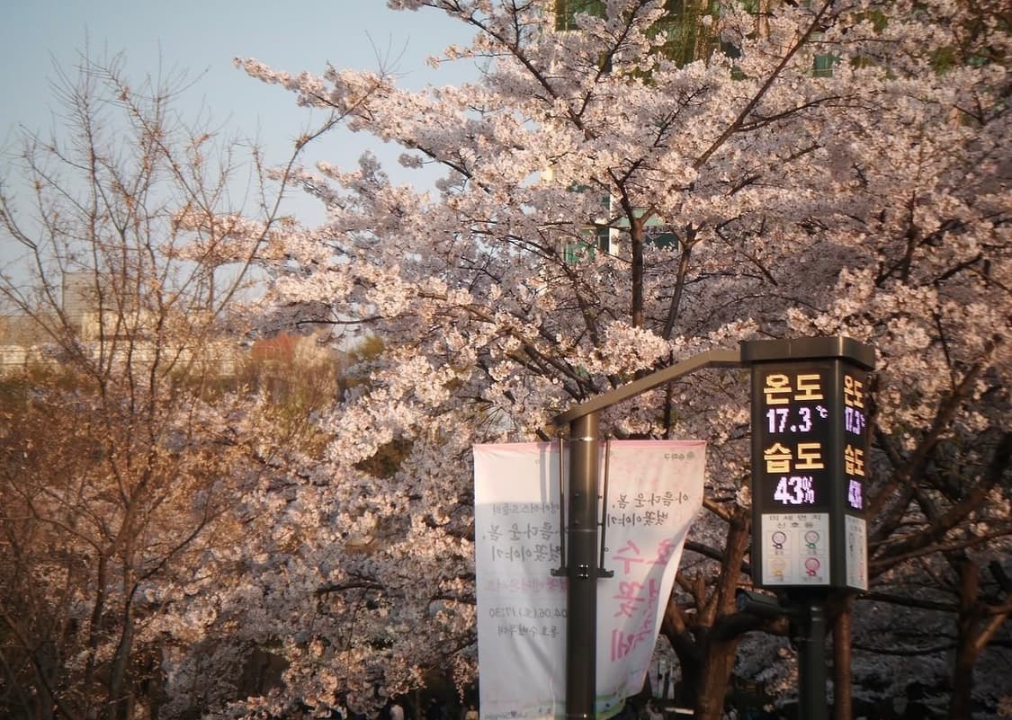 후지 파인픽스 4700z 상품이미지4