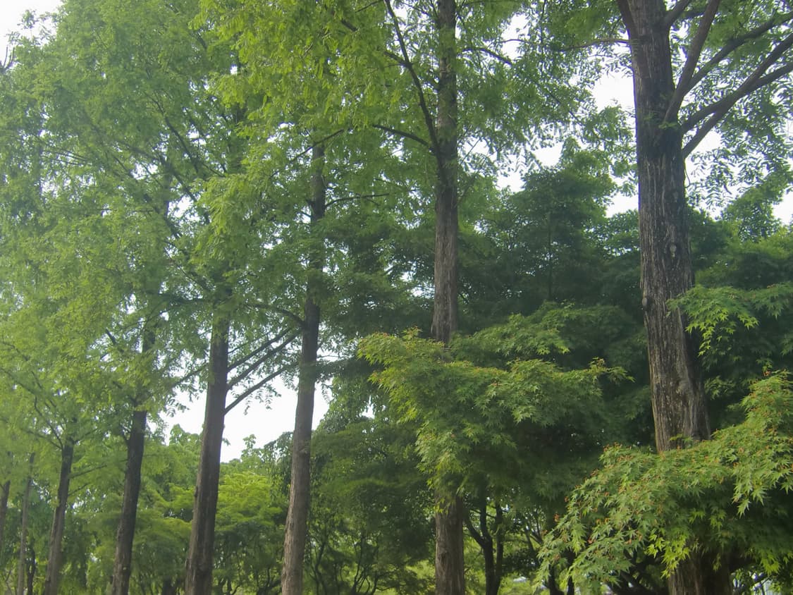 카시오 엑슬림 z450 디카 상품이미지2