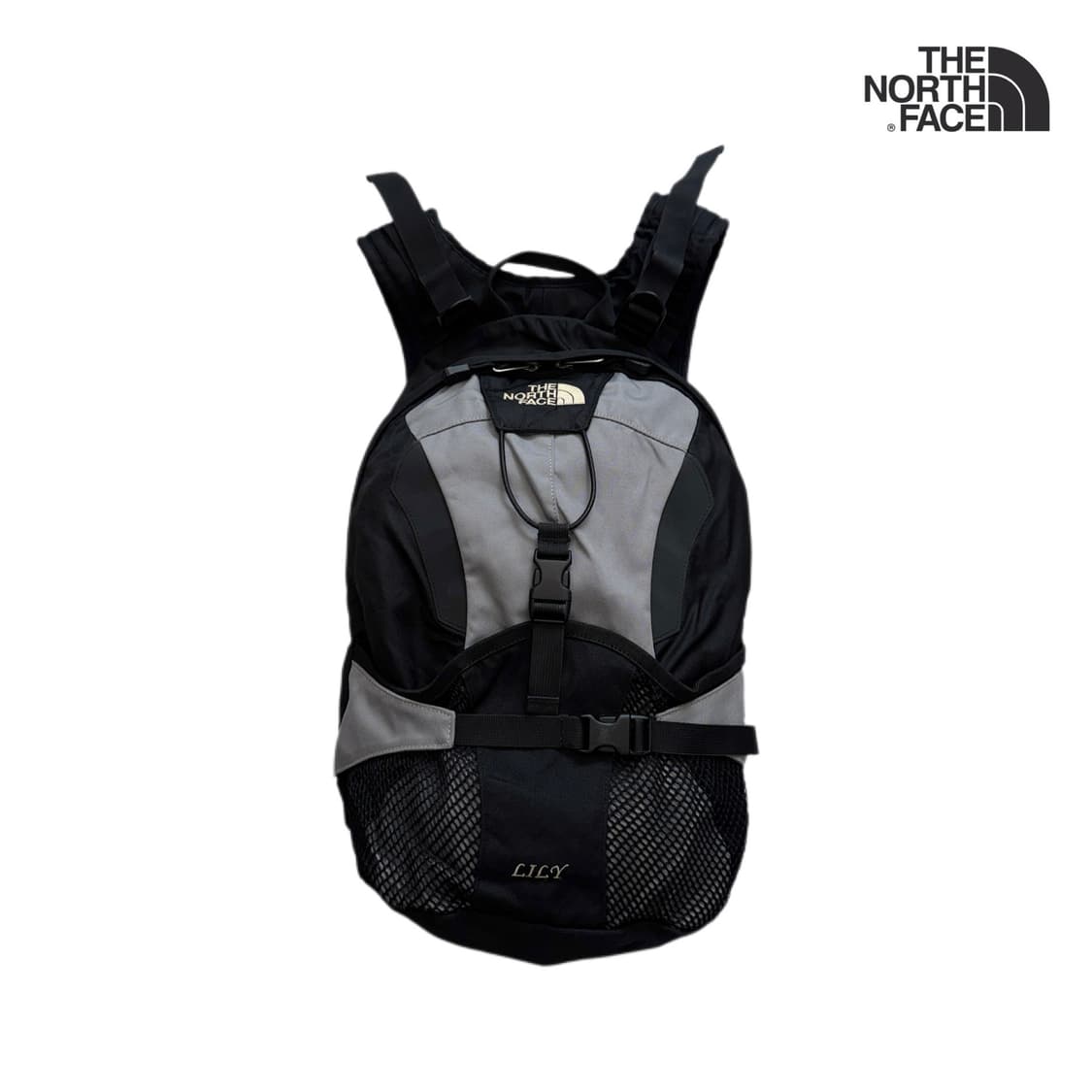 노스페이스 고프코어 LILY 그레이 테크니컬 백팩 상품이미지1
