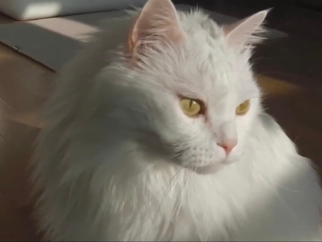 풀구성 파나소닉 HX-WA10 빈티지캠코더 산요 CA100 뉴진스캠코다 상품이미지10