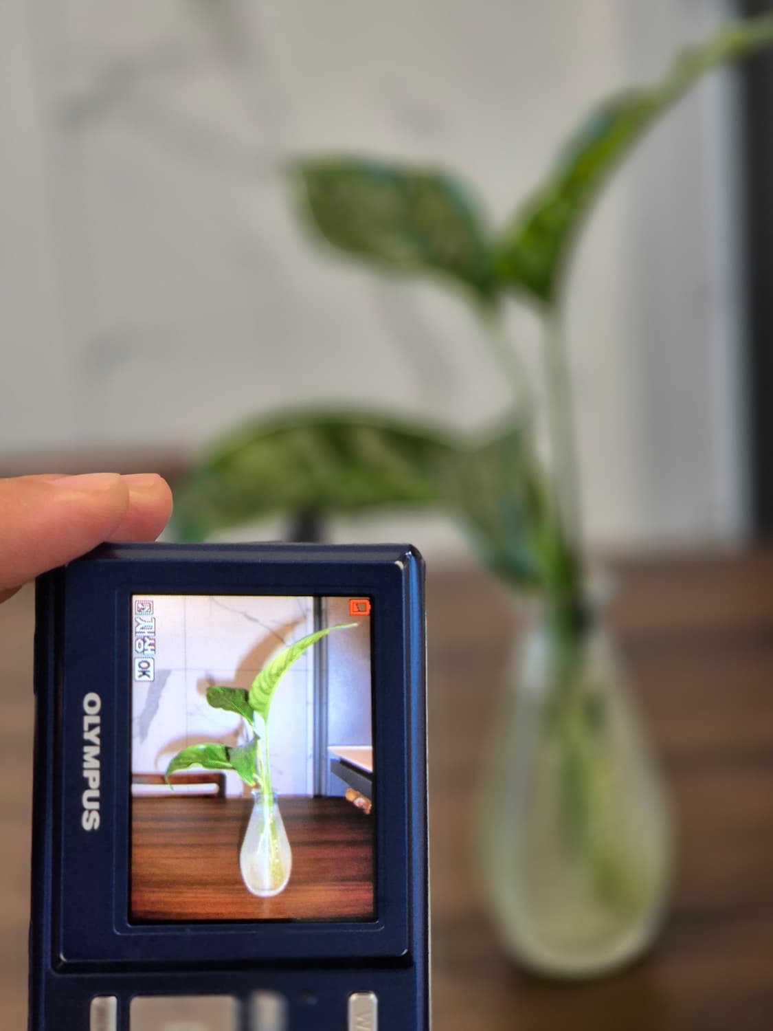 올림푸스 t100 빈티지 카메라 상품이미지5