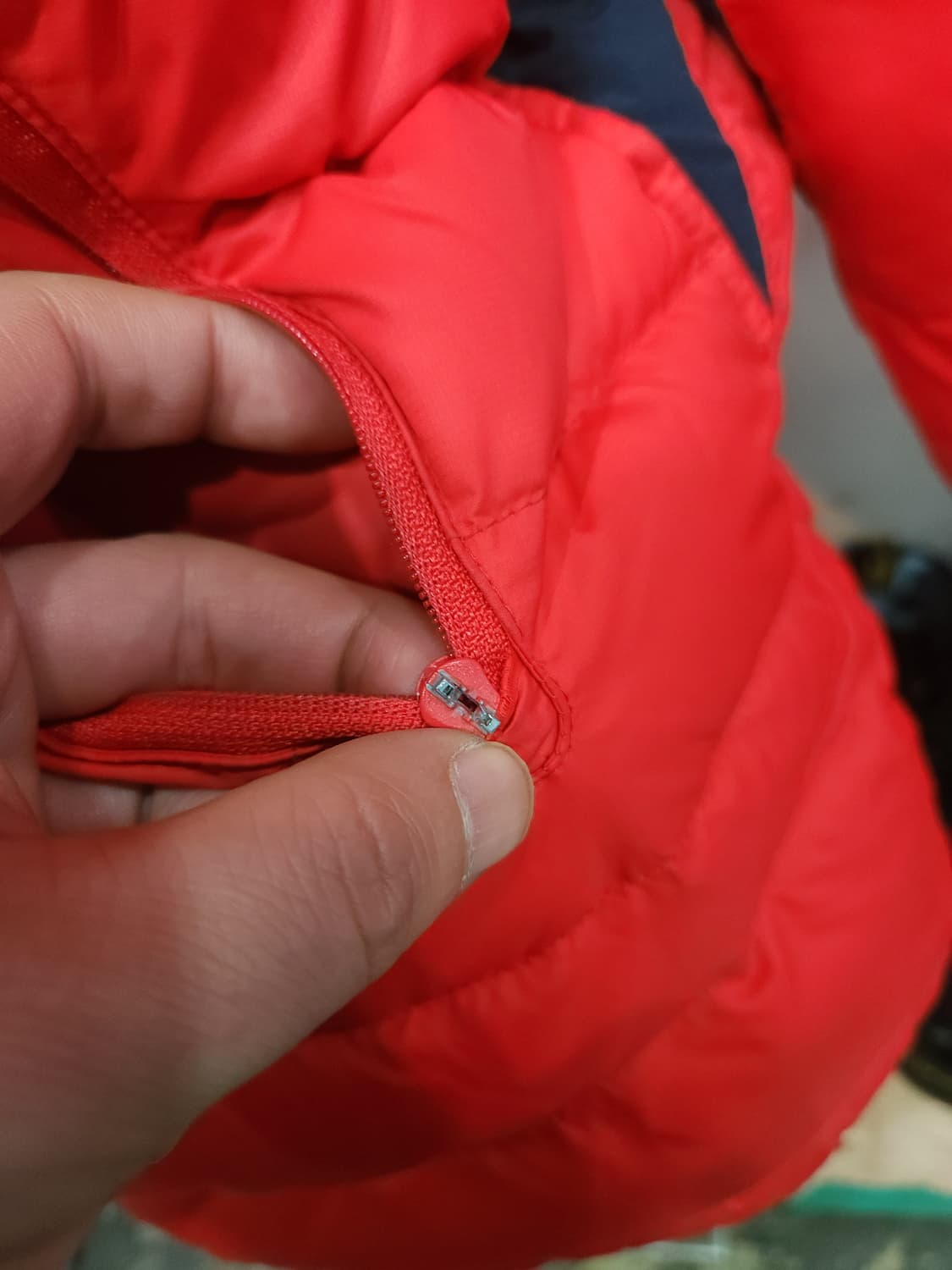 라코스테 레드 오리털 후드 경량 패딩 점퍼
​
 상품이미지4