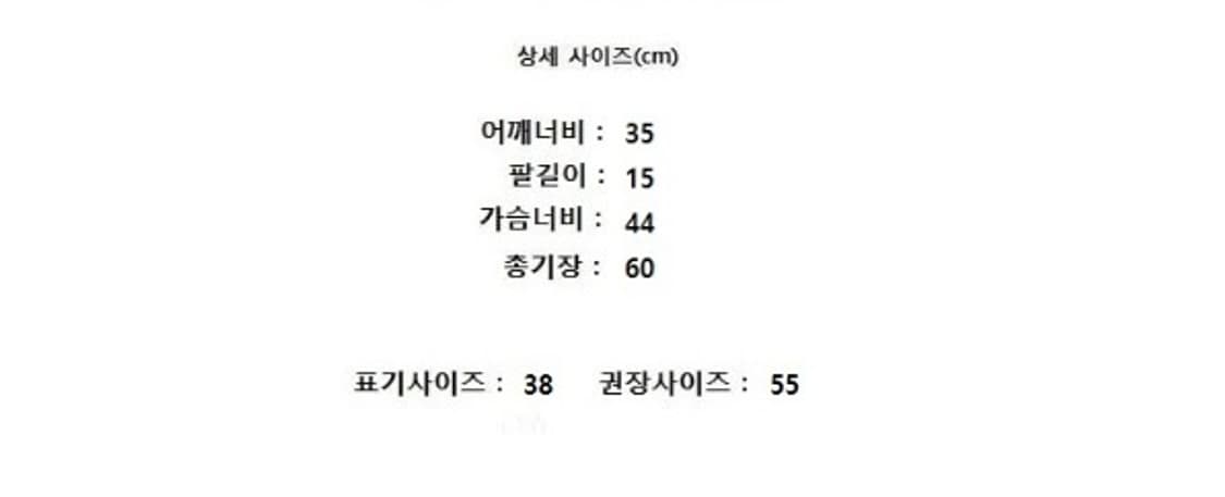 LACOSTE 라코스테 상품이미지7